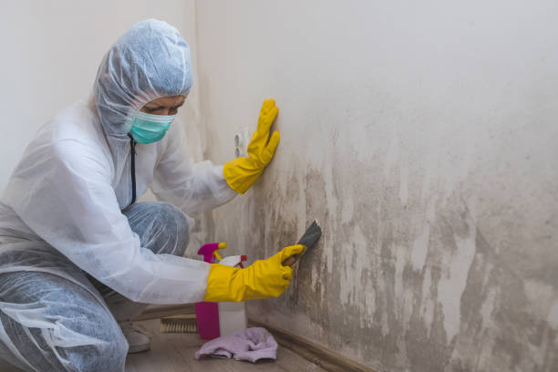 Best Toxic Mold Removal  in Clanton, AL