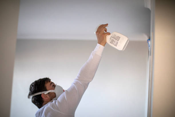 Best Fast Mold Removal  in Clanton, AL