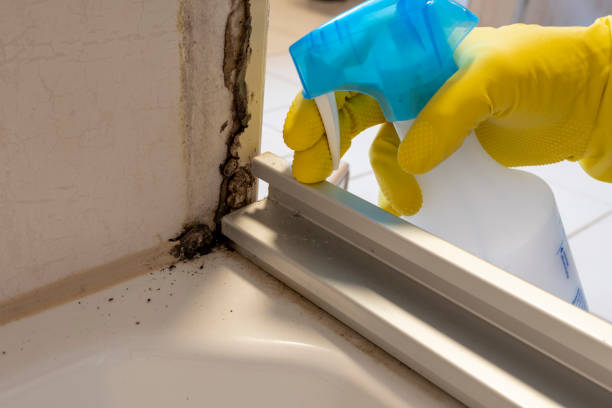 Best Crawl Space Mold Removal  in Clanton, AL