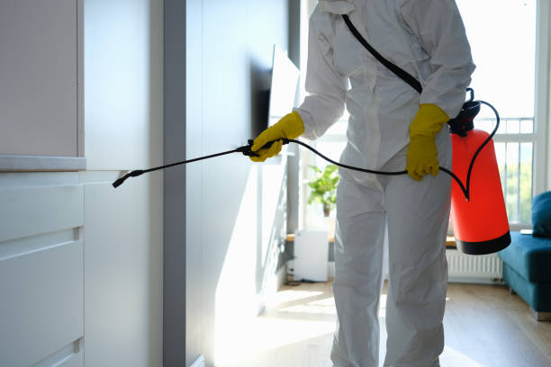 Best Professional Mold Removal  in Clanton, AL