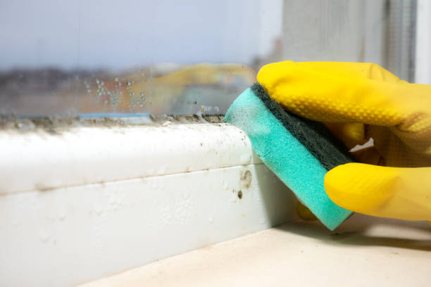 Best Mold Cleaning Services  in Clanton, AL
