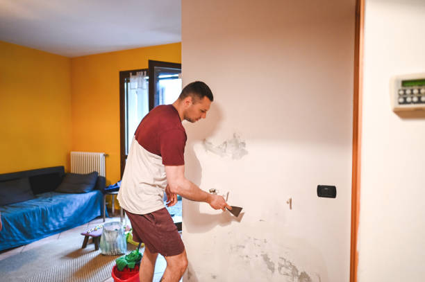 Best Attic Mold Removal  in Clanton, AL