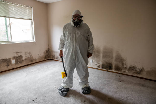 Best Local Mold Removal Service  in Clanton, AL
